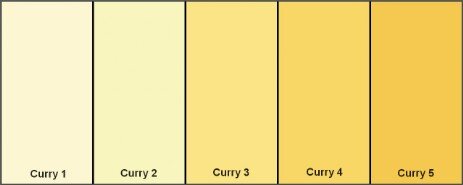 Premio Curry