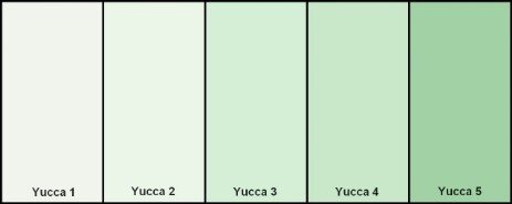 Premio Yucca